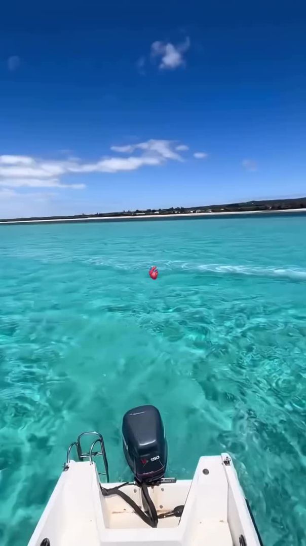 New life 2026🤑🤑🤑